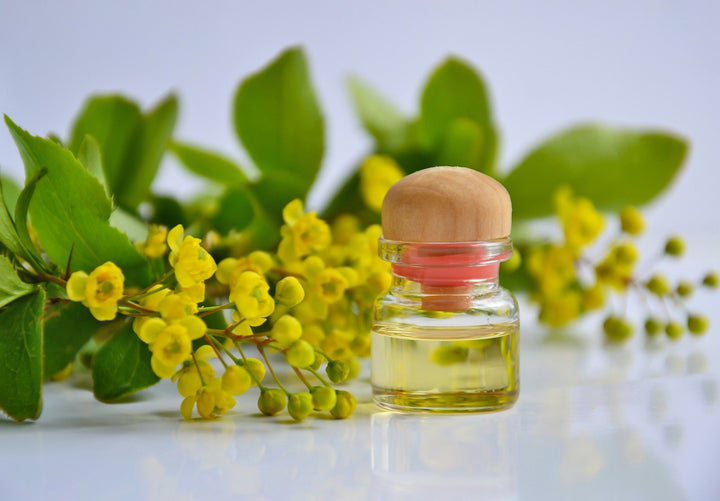 Ätherische Öle: Natürliche Wundermittel für Kosmetik und Pflegeprodukte